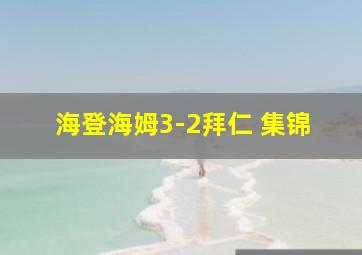 海登海姆3-2拜仁 集锦